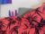 ⚧️ katashisenpai Free Cam @ Chaturbate