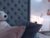 ♀️ kathalove_1 Free Cam @ Chaturbate