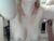 ♀️♂️ katieandandy Free Cam @ Chaturbate