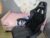 ♀️ khelani_t Free Cam @ Chaturbate
