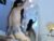 ♀️♂️ kimandyuk Free Cam @ Chaturbate