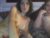 ♀️♂️ kinkyvibesxxx Free Cam @ Chaturbate