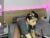 ♀️ kitty_aurora_ Free Cam @ Chaturbate