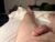 ♂️ kmg0202 Free Cam @ Chaturbate