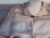 ♀️ kusia032132 Free Cam @ Chaturbate