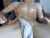 ♂️ l_adonis_l Free Cam @ Chaturbate