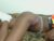 ♀️ ladymaeda Free Cam @ Chaturbate