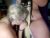 ♀️♂️ ladymeadowlark Free Cam @ Chaturbate