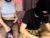 ♀️♂️ lallyrose69 Free Cam @ Chaturbate