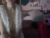♀️♂️ lanalegzgo Free Cam @ Chaturbate