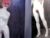 ⚧️ latexirime Free Cam @ Chaturbate