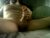 ♂️ leftpeg03 Free Cam @ Chaturbate