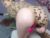 ♀️ lexysugar Free Cam @ Chaturbate