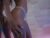 ♀️ liaa_taylor1 Free Cam @ Chaturbate