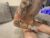 ♂️ lil_addy Free Cam @ Chaturbate