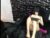 ♀️ lilo_sky Free Cam @ Chaturbate