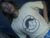 ⚧️ lingkure_69ts Free Cam @ Chaturbate