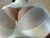 ♀️ lisatime Free Cam @ Chaturbate