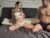 ♀️♂️ little_sakuraxxx Free Cam @ Chaturbate