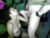 ♀️♂️ load_n_squirt Free Cam @ Chaturbate