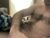 ♂️ lologan522 Free Cam @ Chaturbate