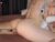 ♀️ lovebabyblush Free Cam @ Chaturbate