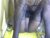 ♀️ lovelymee2 Free Cam @ Chaturbate