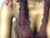♀️ _luna_nyx Free Cam @ Chaturbate