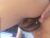 ♀️ luneva Free Cam @ Chaturbate