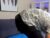 ♂️ lustful_and_horny Free Cam @ Chaturbate