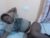 ♀️ lyn_anna Free Cam @ Chaturbate