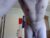 ♂️ mainecollegeboy Free Cam @ Chaturbate
