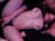 ♀️♂️ masqueradeporn Free Cam @ Chaturbate