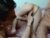 ♀️♂️ maxcumsss Free Cam @ Chaturbate