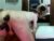 ♂️ maxjr8008 Free Cam @ Chaturbate