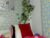 ♀️ mayo_sweet00 Free Cam @ Chaturbate