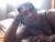 ♀️ meganny_2023 Free Cam @ Chaturbate