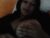 ♀️ melissa_sexytits Free Cam @ Chaturbate