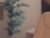 ♀️ mia_milagros Free Cam @ Chaturbate