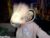 ♀️ miia_zarate Free Cam @ Chaturbate