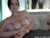 ♀️ mis_eva Free Cam @ Chaturbate