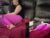 ♀️♂️ _modulus Free Cam @ Chaturbate
