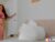 ♀️ molly_p Free Cam @ Chaturbate