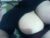 ♀️ mslany Free Cam @ Chaturbate