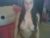 ♀️ mudslingintrainwreck Free Cam @ Chaturbate