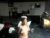 ♀️♂️ muffdiver4fun Free Cam @ Chaturbate