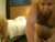 ♂️ mutton38 Free Cam @ Chaturbate
