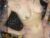 ♀️ myxedpersonality Free Cam @ Chaturbate