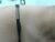 ♀️ nashira_robert Free Cam @ Chaturbate