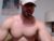 ♂️ nerdmuscles2x Free Cam @ Chaturbate